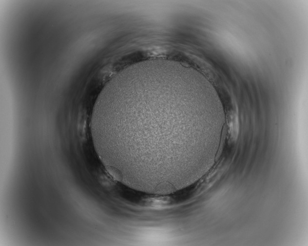 X0000095120525200712211312