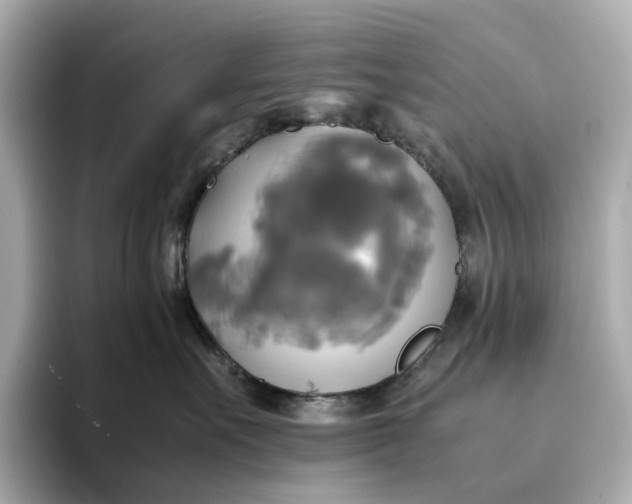 X0000095120527200712211312