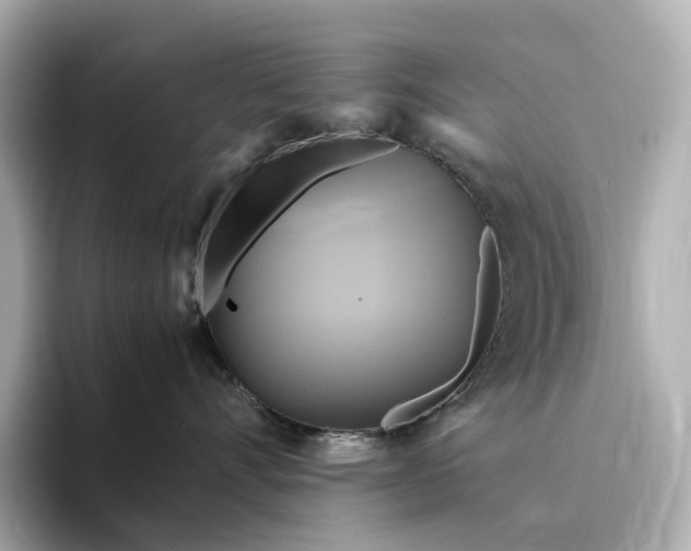 X0000095120528200712211312