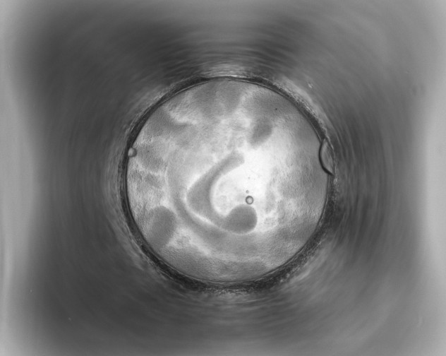 X0000095120529200712211311