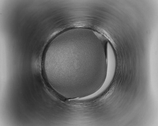 X0000095120530200712211311