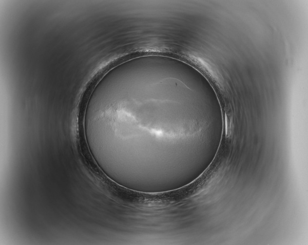 X0000095120531200712211311