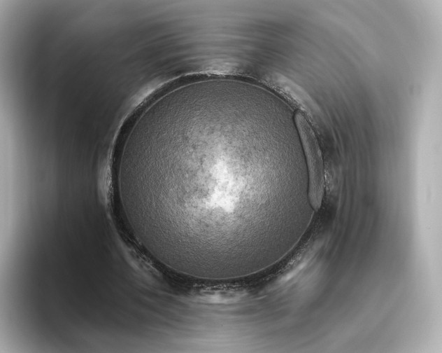 X0000095120532200712211311