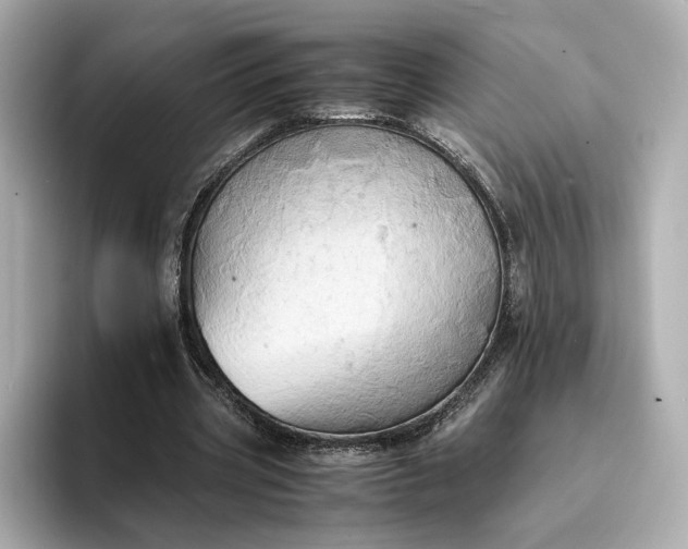 X0000095120533200712211311