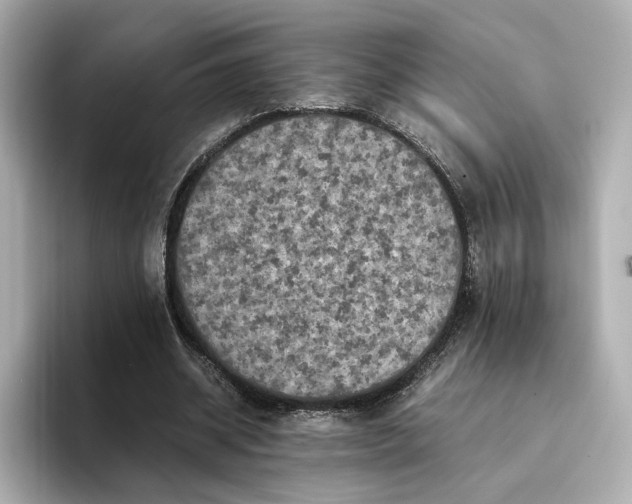 X0000095120534200712211311