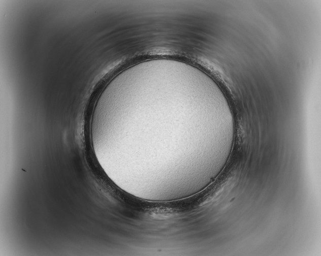 X0000095120535200712211311