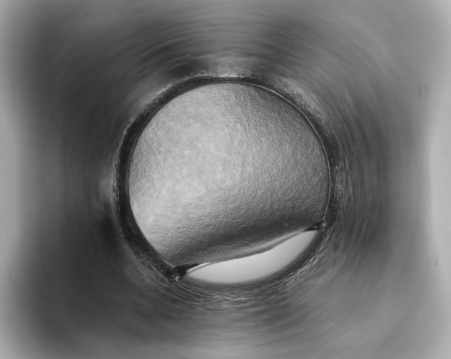 X0000095120536200712211311