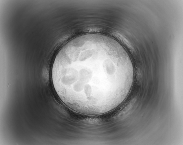 X0000095120537200712211312