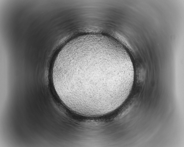 X0000095120538200712211312