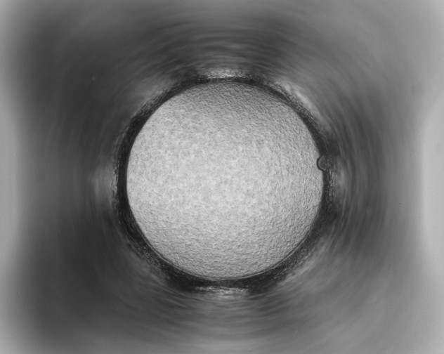 X0000095120539200712211312