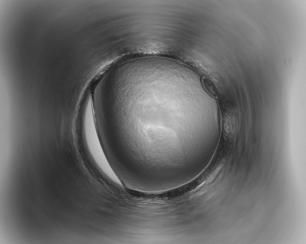 X0000095120540200712211312