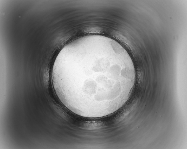 X0000095120541200712211312