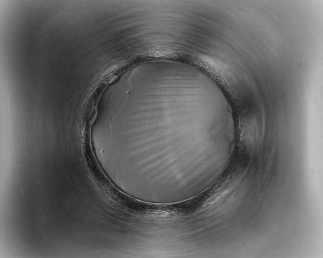 X0000095120542200712211312