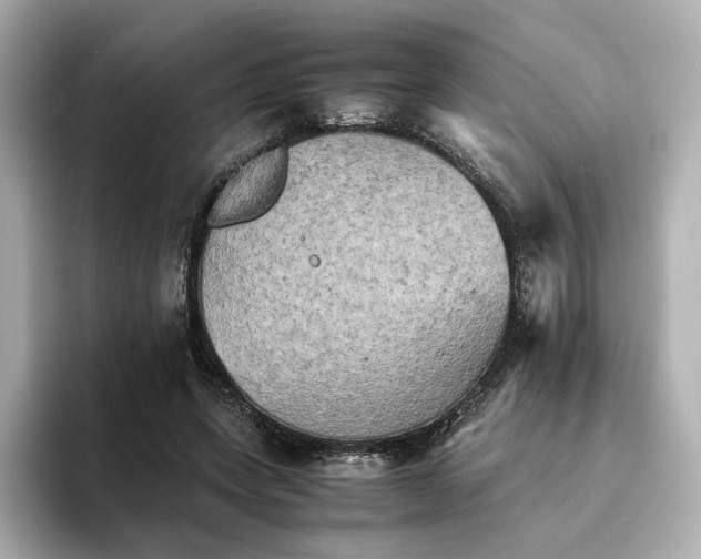 X0000095120543200712211312