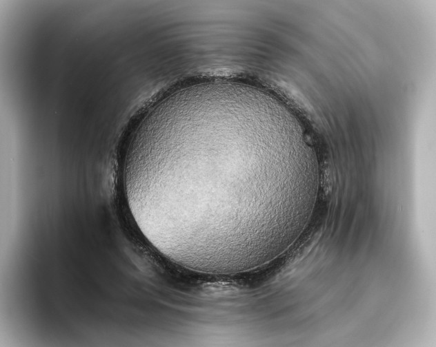 X0000095120544200712211312