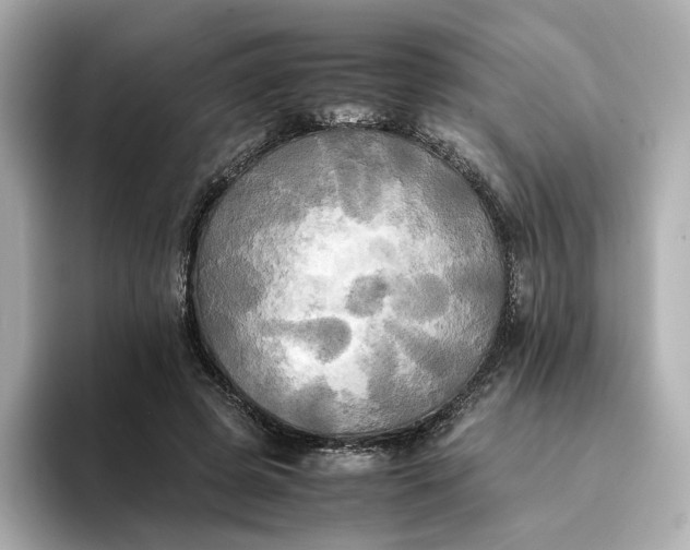 X0000095120545200712211312