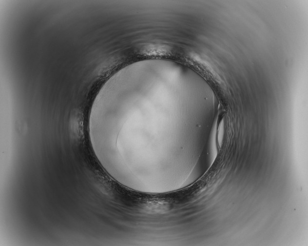 X0000095120547200712211312