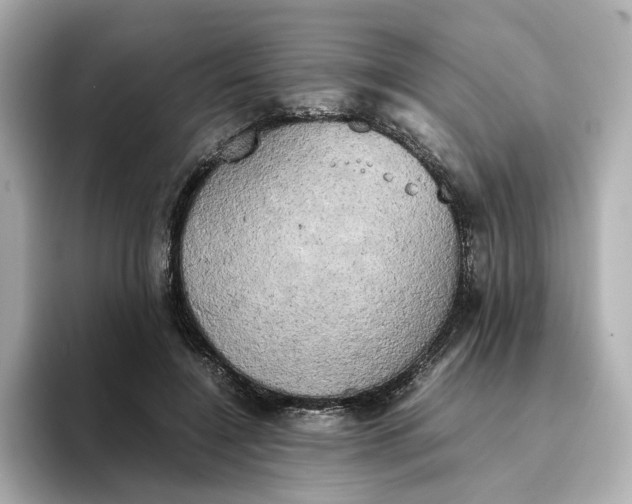 X0000095120548200712211312