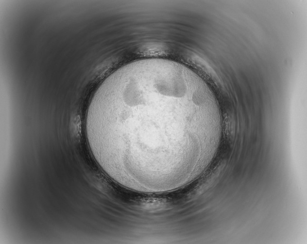 X0000095120549200712211312