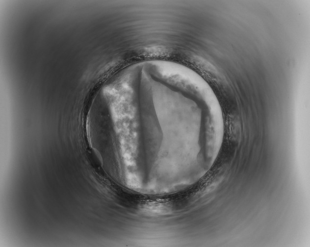 X0000095120550200712211312