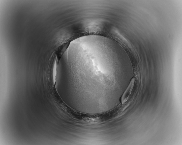 X0000095120552200712211312