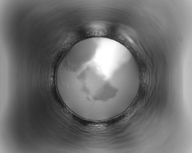 X0000095120553200712211312