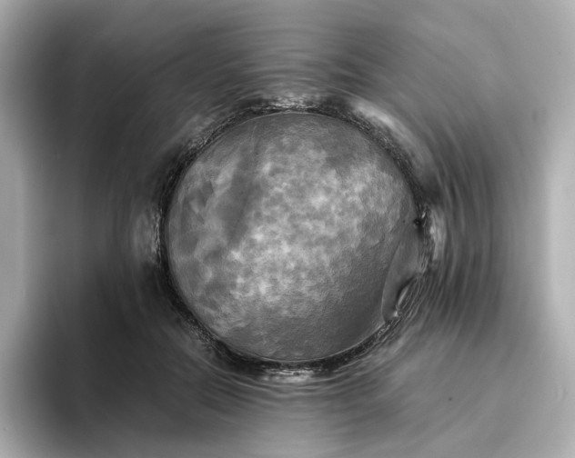 X0000095120554200712211312