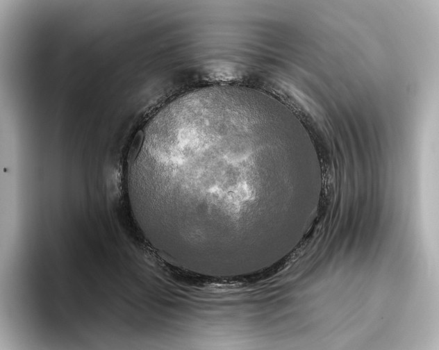 X0000095120556200712211312