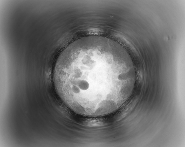 X0000095120557200712211312