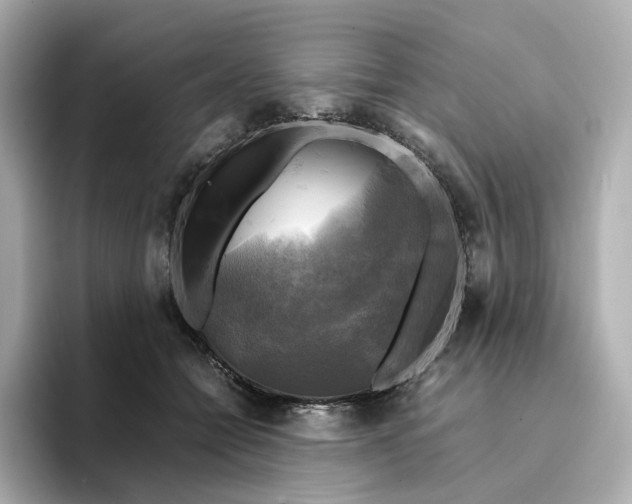 X0000095120558200712211312