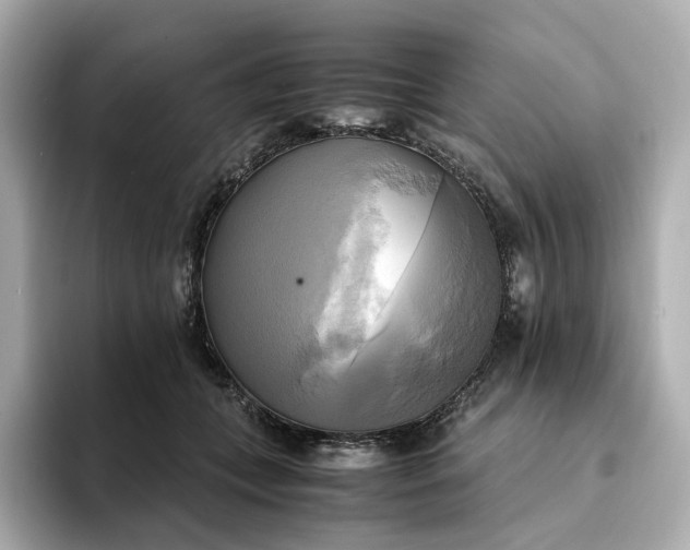 X0000095120559200712211312