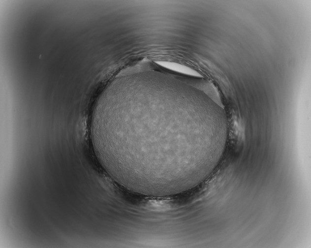 X0000095120560200712211312