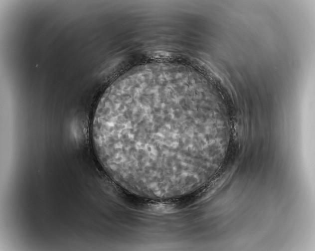 X0000095120561200712211312