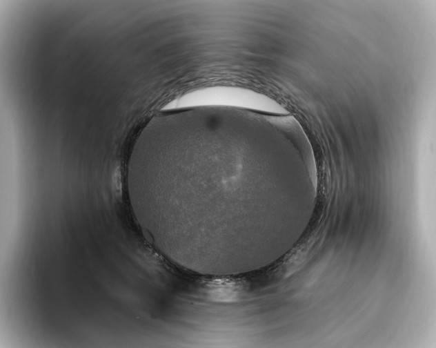 X0000095120562200712211312