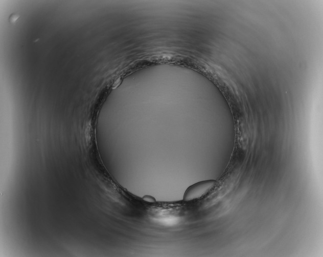 X0000095120563200712211312