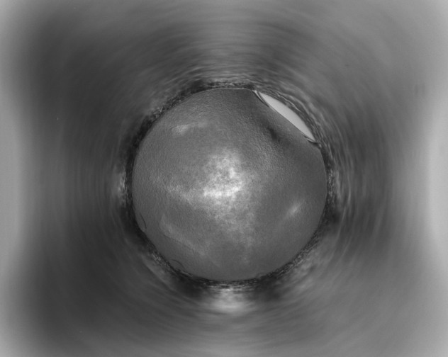 X0000095120564200712211312