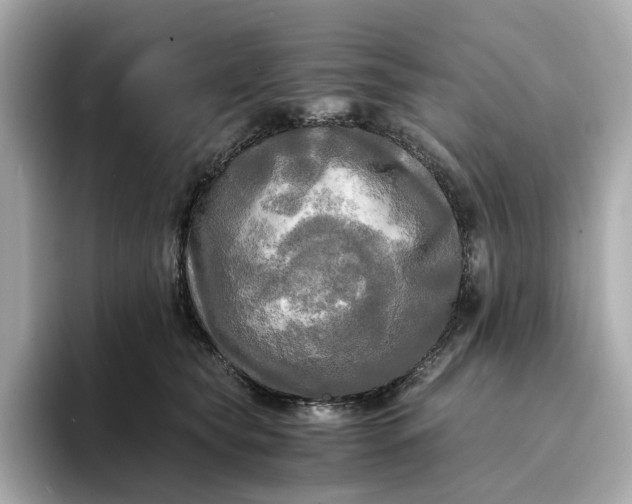 X0000095120565200712211312