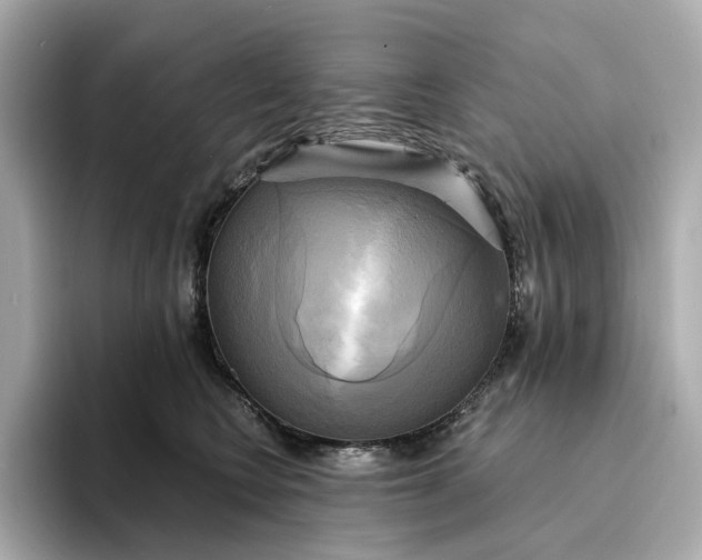 X0000095120566200712211312