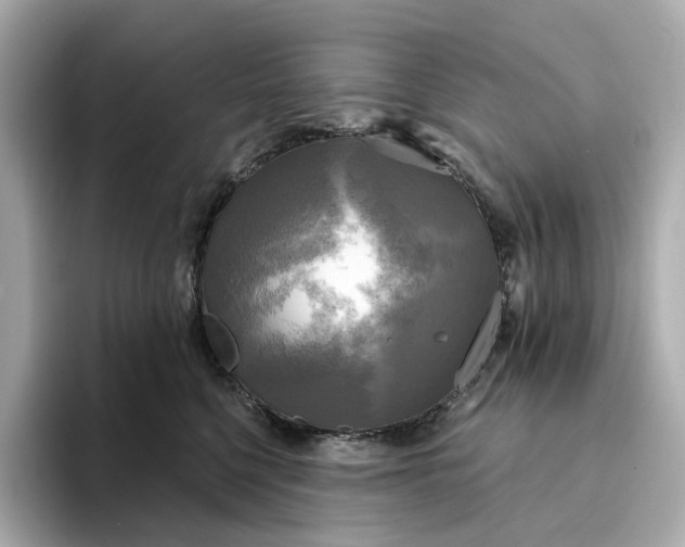 X0000095120568200712211312