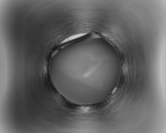 X0000095120570200712211312