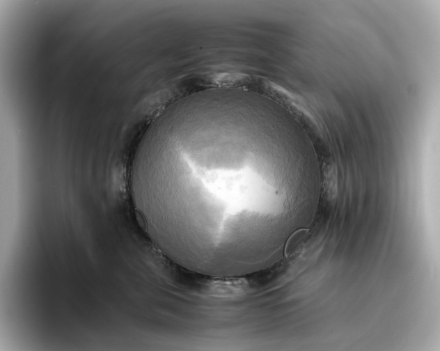 X0000095120571200712211312