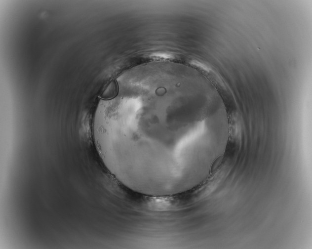 X0000095120573200712211312