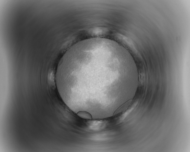 X0000095120575200712211312