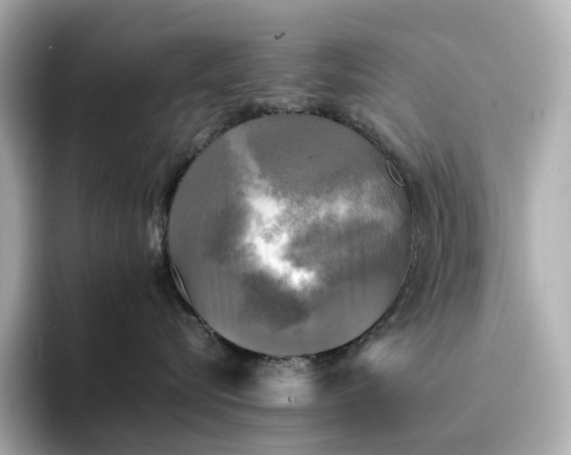 X0000095120576200712211312