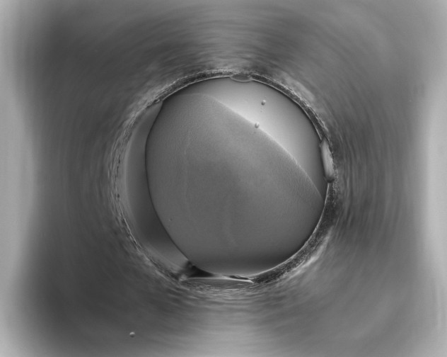 X0000095120577200712211311