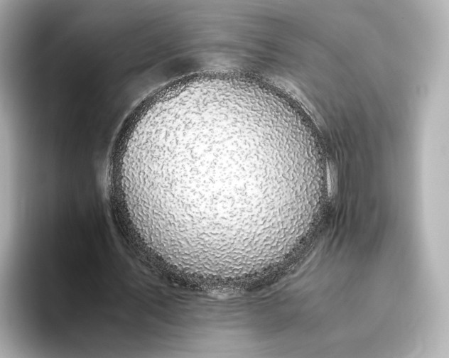 X0000095120579200712211311