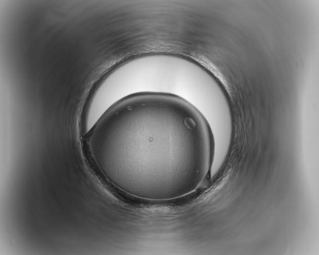 X0000095120581200712211311