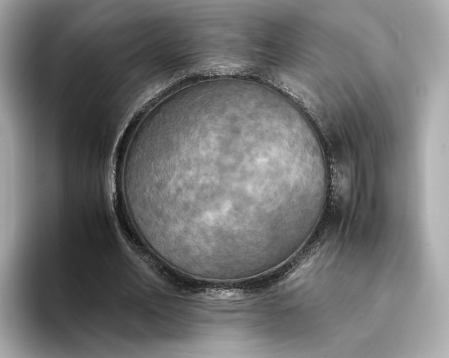 X0000095120582200712211311