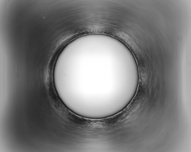 X0000095120583200712211311