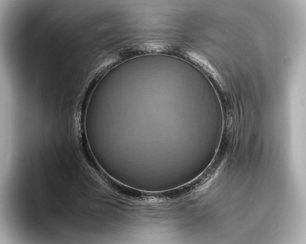 X0000095120585200712211311